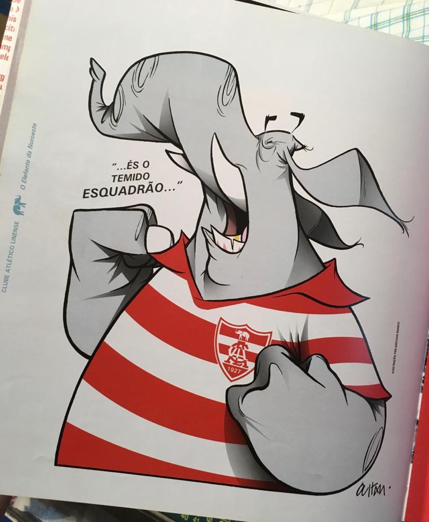 Livro Clube Atlético Linense - O elefante da Noroeste