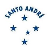 Distintivo Santo André