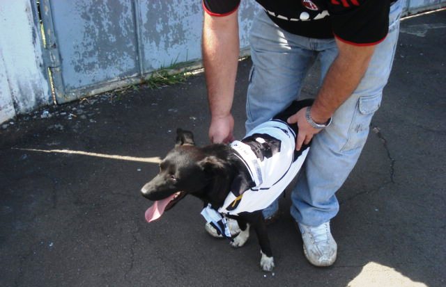 Pretinho - Mascote da Inter