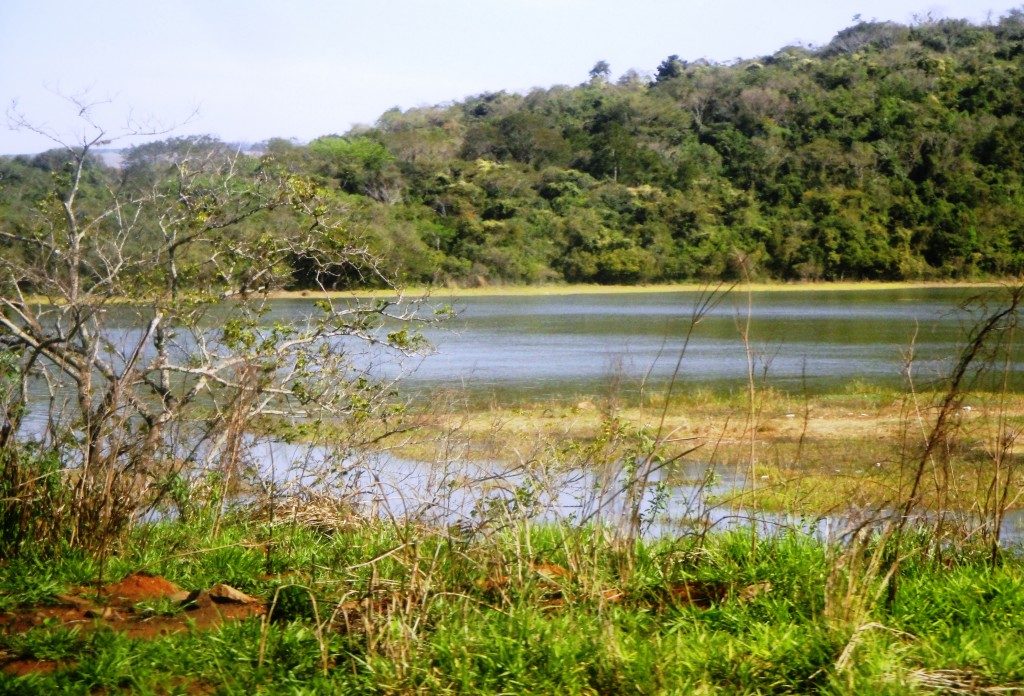 Rio Pirajú