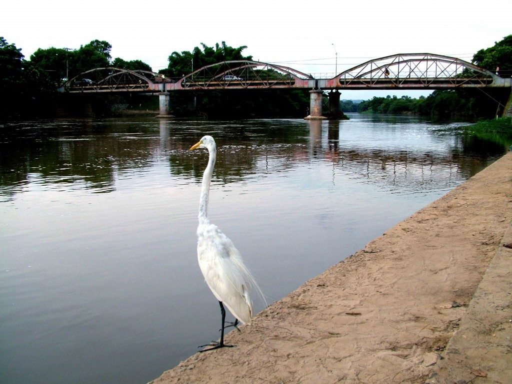 Rio Mogi-Guaçu Porto Ferreira