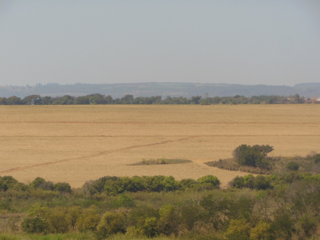 São Simão