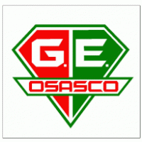 Grêmio Esportivo Osasco