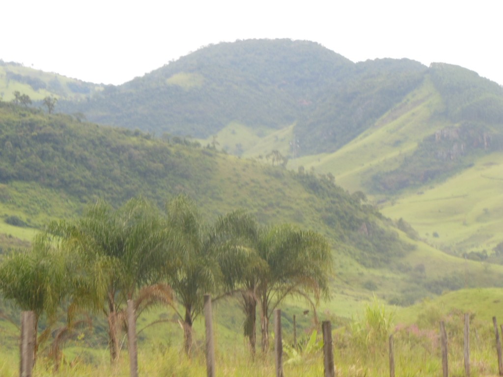 Maria da Fé - MG