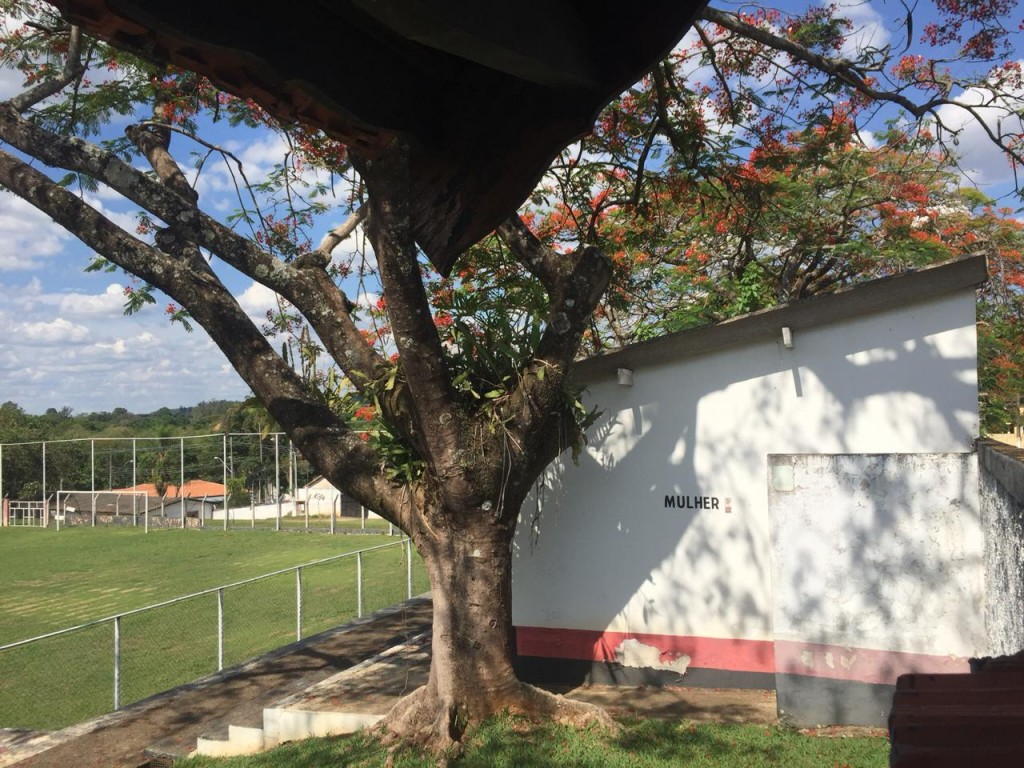 Estádio Municipal José Iório - Campo do Souzas FC - Campinas
