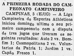 Liga Campineira de 1933