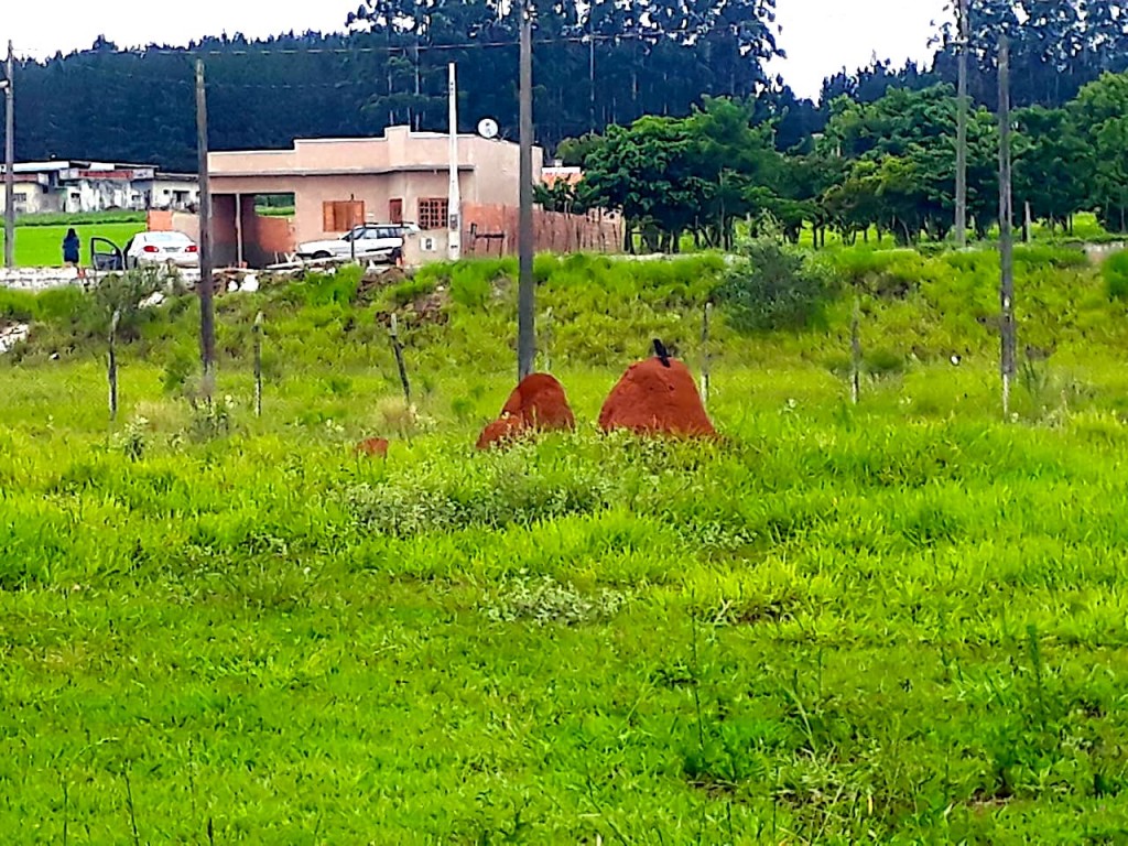  Estádio Municipal Edivaldo Rodrigues de Arruda - Paranapanema