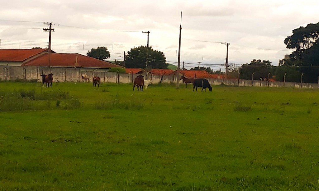  Estádio Municipal Edivaldo Rodrigues de Arruda - Paranapanema